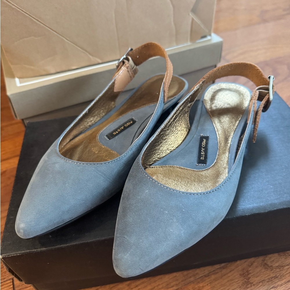 Elegant Blue Pointed Toe Slingback Flats